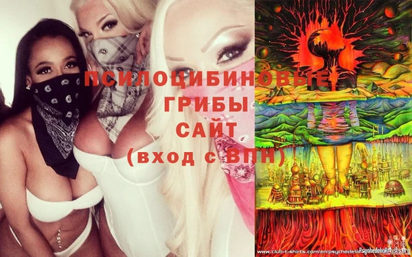 гашиш Алзамай