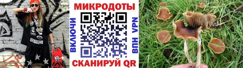 Псилоцибиновые грибы GOLDEN TEACHER  Заозёрный 